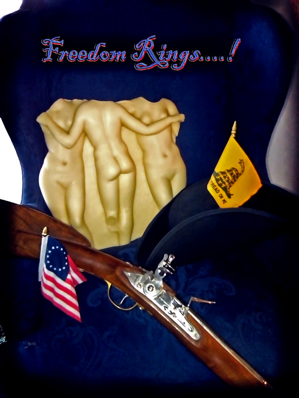 Let Freedom Ring 2013 .jpg