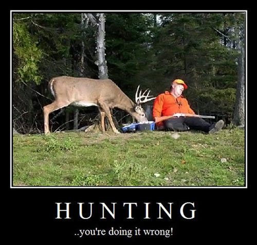 deer-eating-hunter-sleeping.jpg