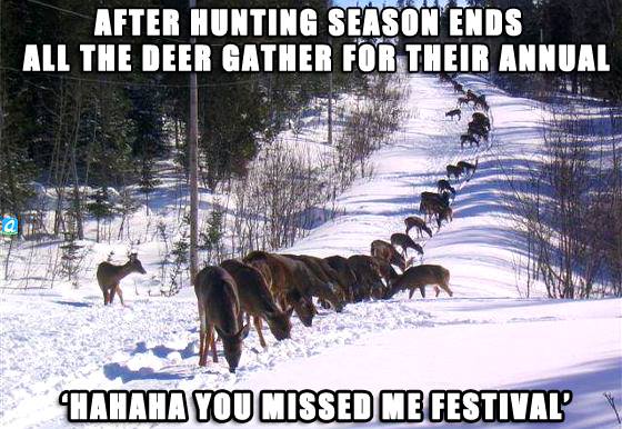 after-deer-season.jpg