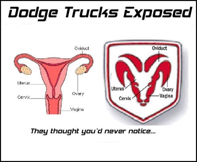 dodgevagina.jpg