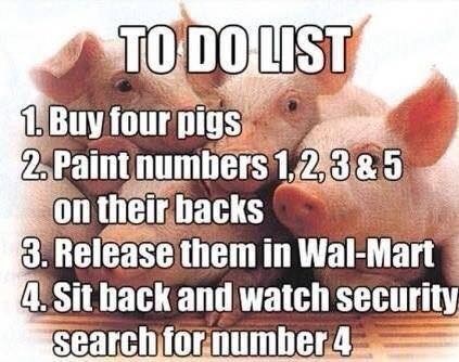 Pigs.jpg