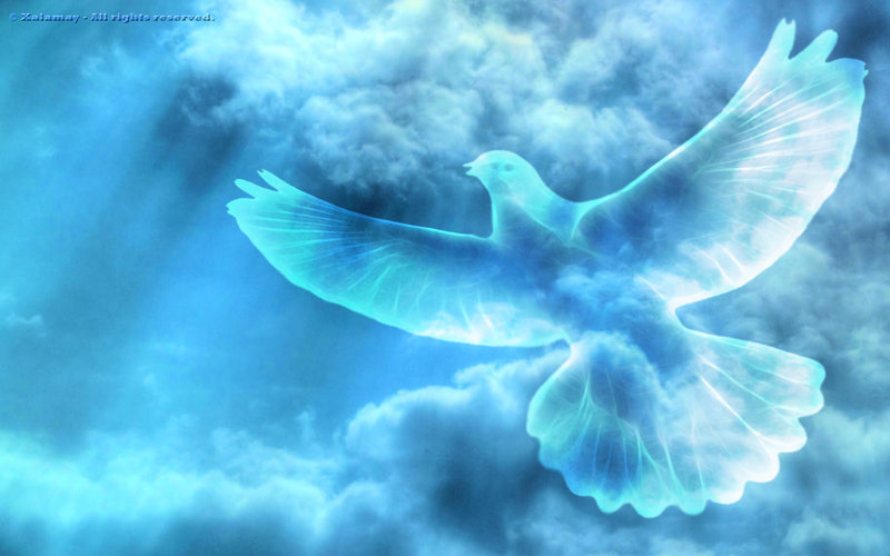 peace-dove-31.jpg