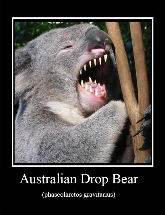 Australian Drop Bear.jpg