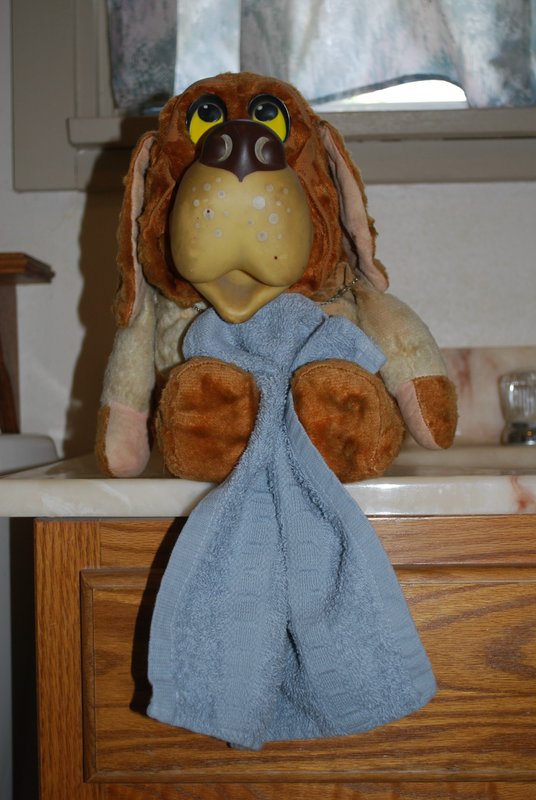 Waldo towel.jpg