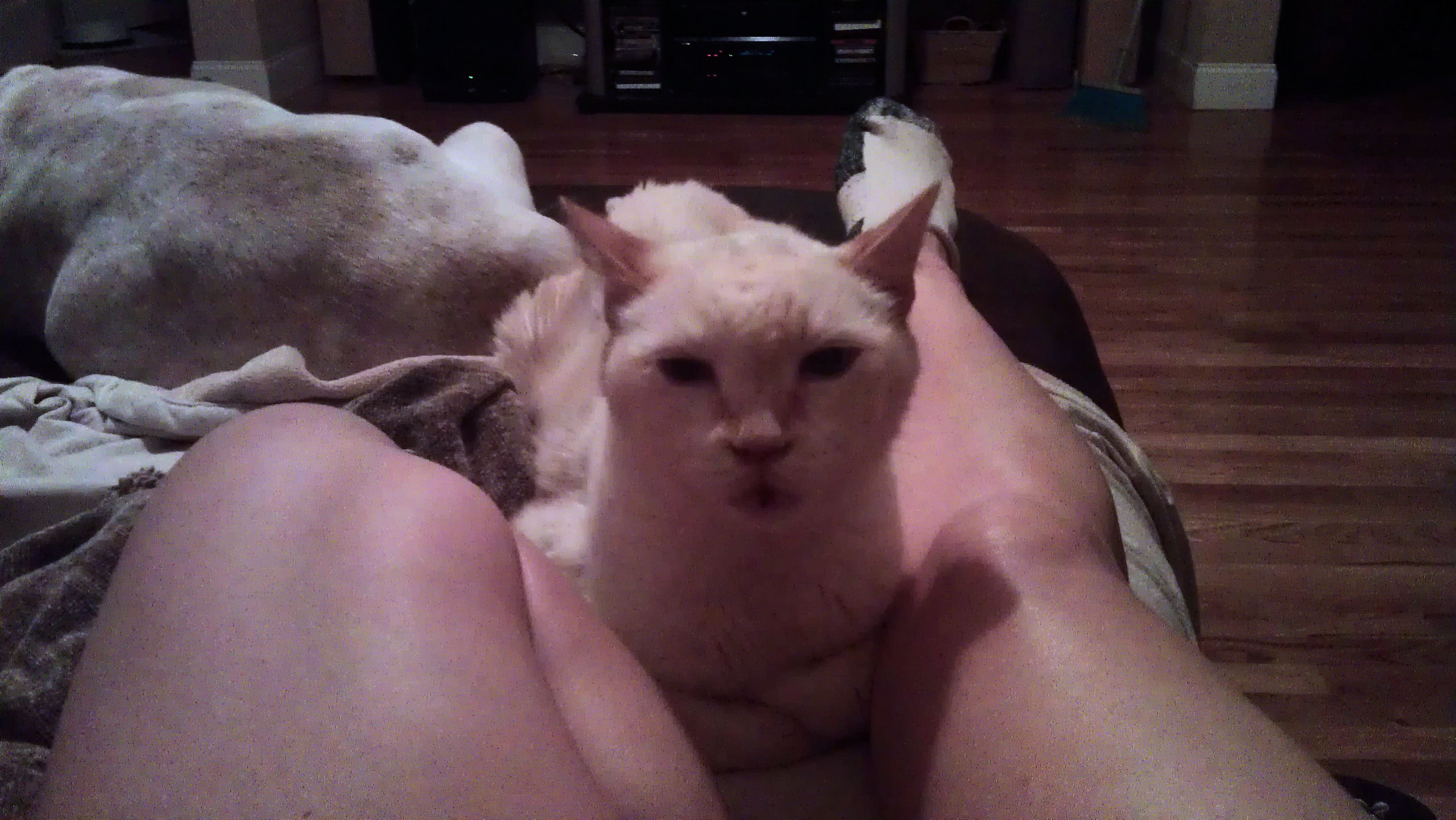 IMAG0572 bed party.jpg