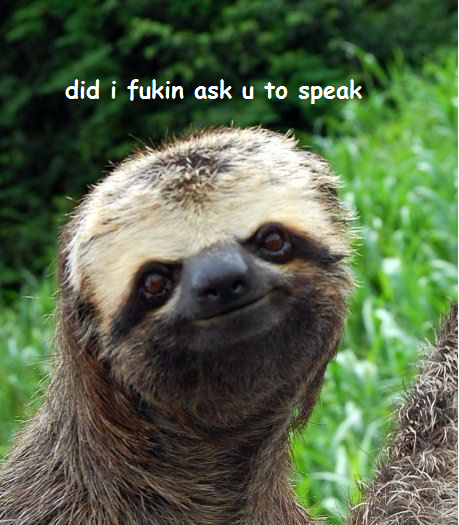 sloth 1s1vysoo1_500.png