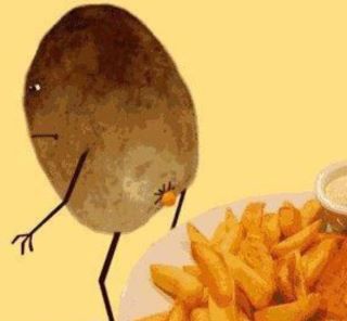 Comic.WhereFrenchFriesComeFrom.jpg