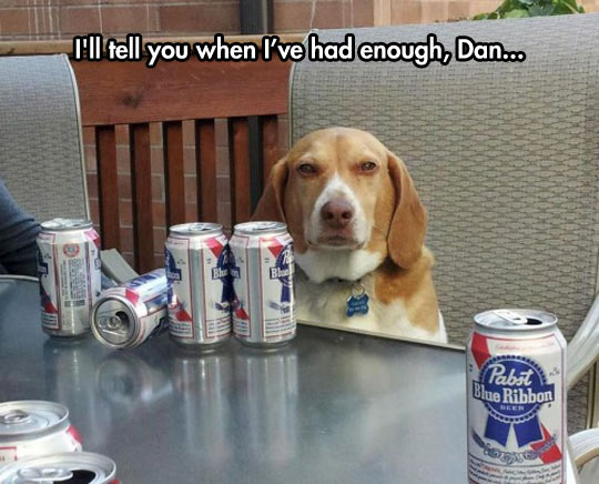 dog-beer-can-drunk.jpg