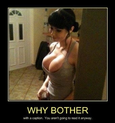 why bother.jpg