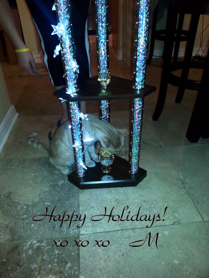 20150103_23236 My baby .jpg