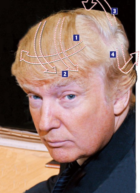 trump_hair.jpg