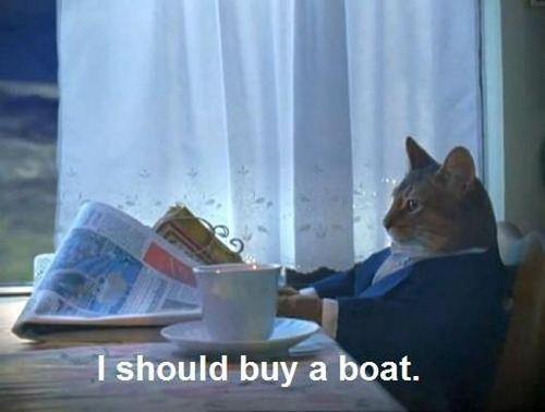 cat-boat-buying.jpg