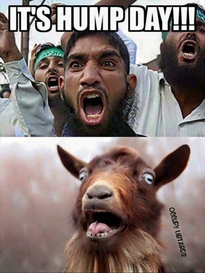 camel humper pic.jpg