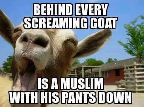 screaming goat.jpg