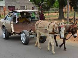 download   horse power.jpg