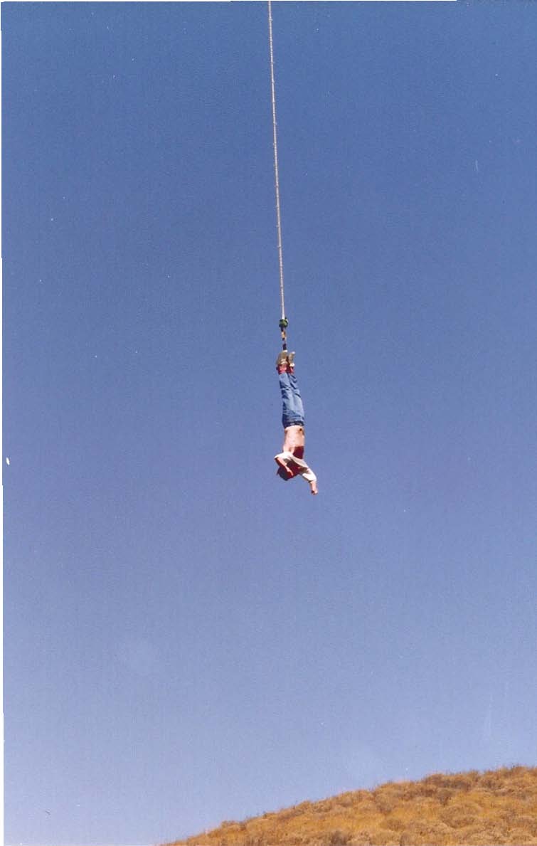 bungee.jpg